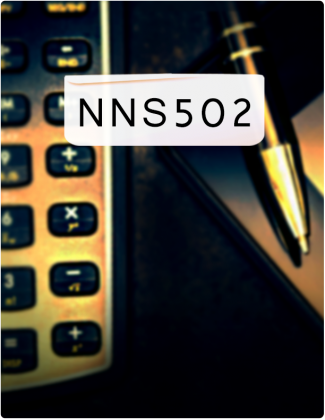 NNS 502 written in black text, with a calculator and pen in the background.