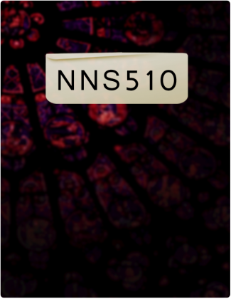NNS 510 is written in black text, with a blurry red and black background.