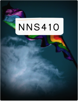 NNS 410 is typed in black font with a rainbow flag in the background.